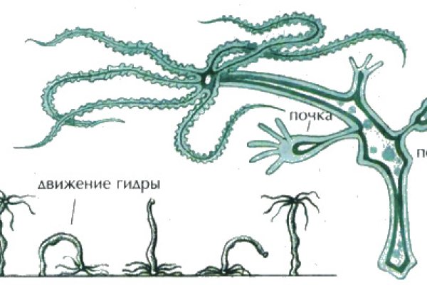 Ссылка на кракен через тор